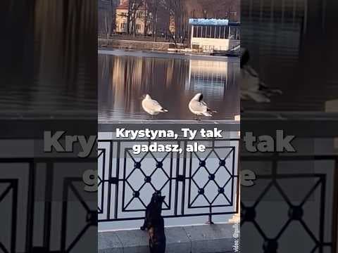zakład?