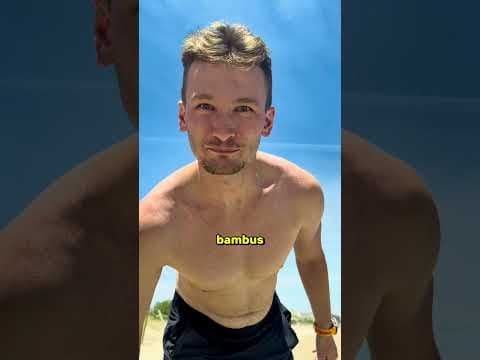 Żart o autokarze