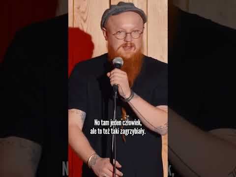 RZĄDY GRZYBÓW | Jaksa