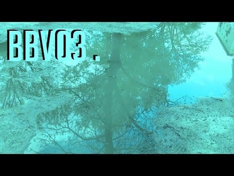 BBV03 | Tak było
