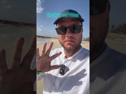 Damian Kubik: Suchary, Chill, Słońce