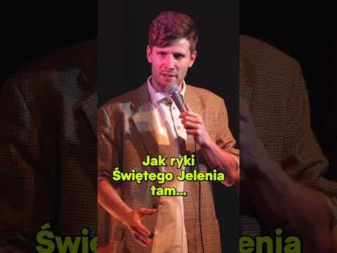 Dieta bezmięsna
