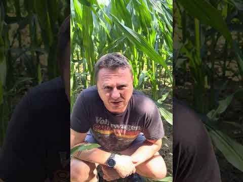 Bartosz Gajda: Polecie, Rolnictwo, Spacer