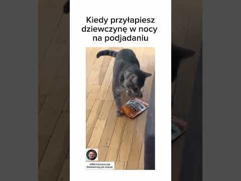 Gastro jest nieubłagane