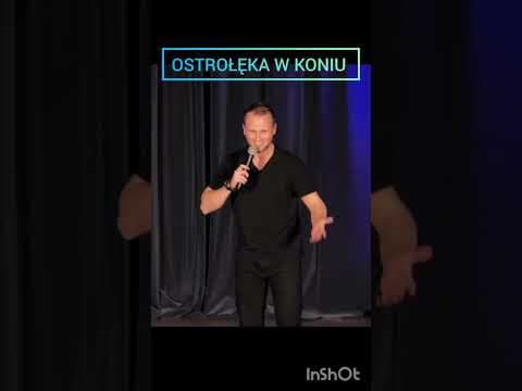 W koniu
