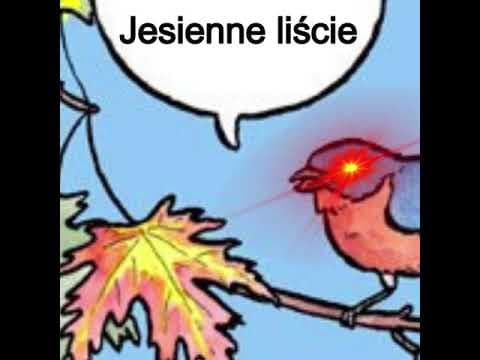 Annoying Bird Meme Taco Hemingway i Portier Cieszyński - Jesienne liście