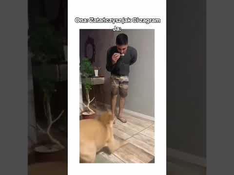 Ah ta miłość Inspiracja: prazeadogs
