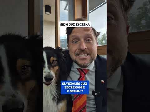 SEJM JUŻ SZCZEKA