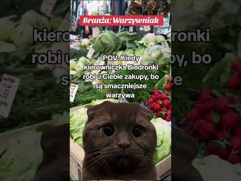 Poglądowa rolka dla branży sklepu typu "warzywniak".