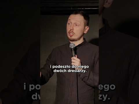 SIŁA CHARYZMY