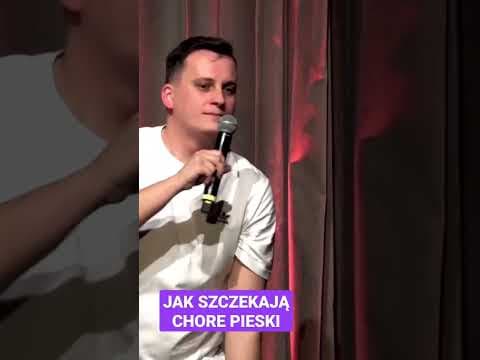 Jak rozpoznać że pies jest chory?
