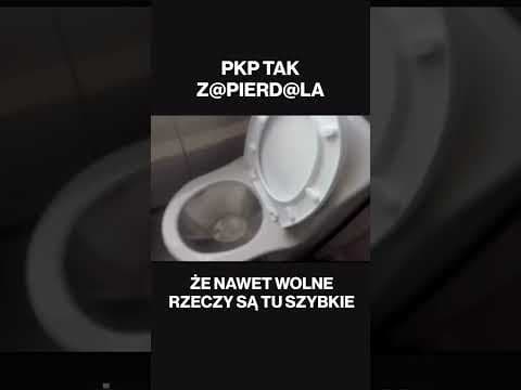 Pkp to stan umystu a kibel w pkp to stan skupienia umystu jak sie nie olać