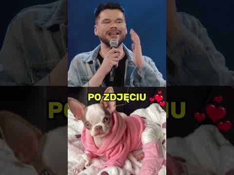 CO MÓWI PIES U PSYCHOLOGA?