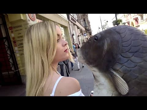 Spokojnie to tylko ryba! - Jeleniejaja