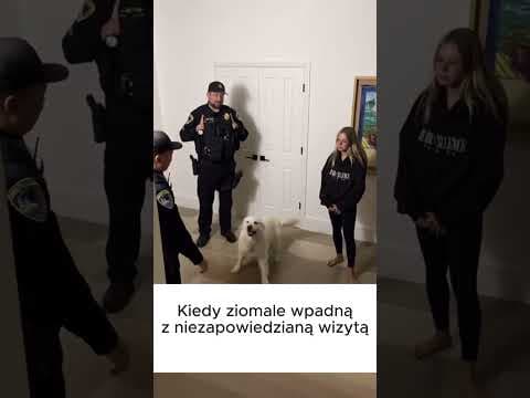 ziomale