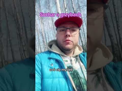 Suchar o grzybach