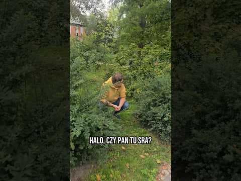 Walka z algorytmem wymaga skupienia Zapraszam na "Wszystko dobrze" na żywo!
