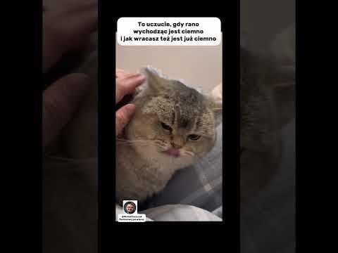 I tak przez pół roku....