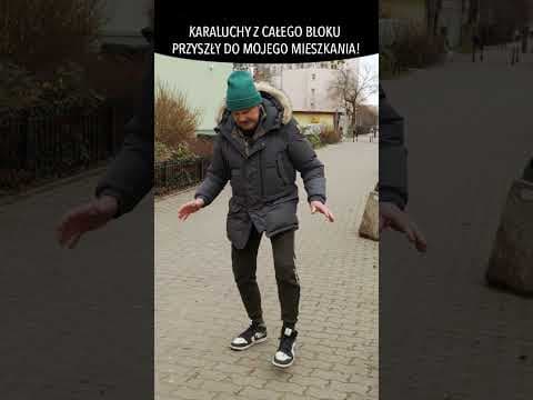 KARALUCHY Z CAŁEGO BLOKU PRZYSZŁY DO MOJEGO MIESZKANIA!