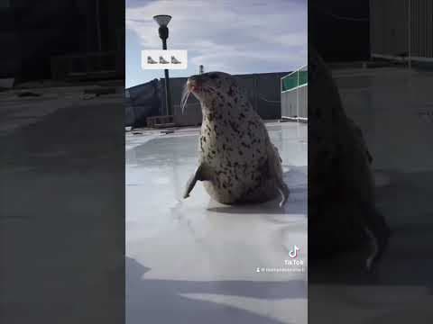 Uda się uda się