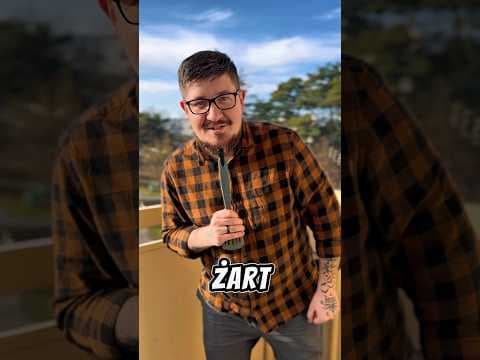 Kiedy żart zmienia się w piękną rzeczywistość