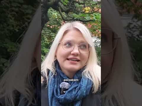OWCA PRZEKONUJE CAŁY KRAKÓW!