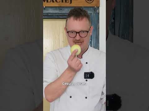 Krążki cebulowe