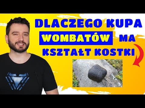 Dlaczego kupa wombatów ma kształt kostki | NEWSY BEZ WIRUSA | Karol Modzelewski