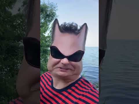Bartosz Gajda: Polecie, Twójstary, Kot
