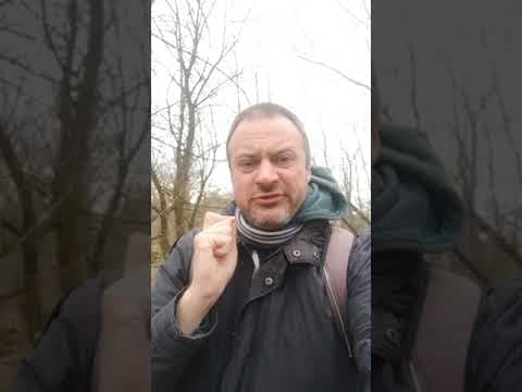 Święcenie falami radiowo-telewizyjnymi