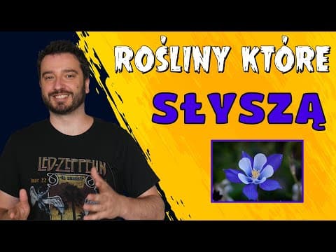 Rośliny które słyszą | NEWSY BEZ WIR*SA | Karol Modzelewski