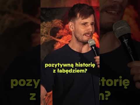 Łabędź pieczony