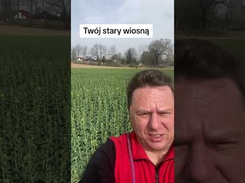 Bartosz Gajda: Polecie, Twójstary, Wiosna