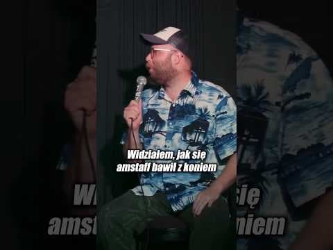 Zabawa amstaffa z koniem