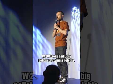 GOŁĄB NARCOS