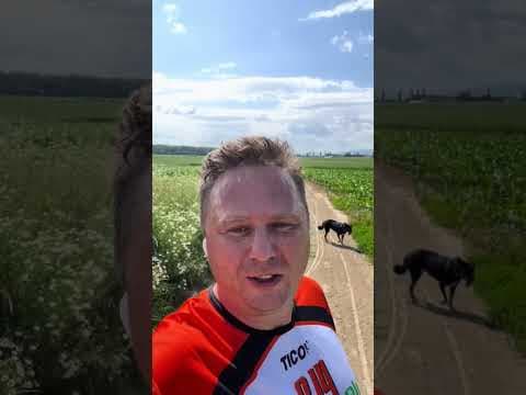 Bartosz Gajda: Polecie, Twójstary, Spacer