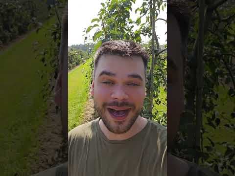 AKTUALNIE 1.2 MILIONA!