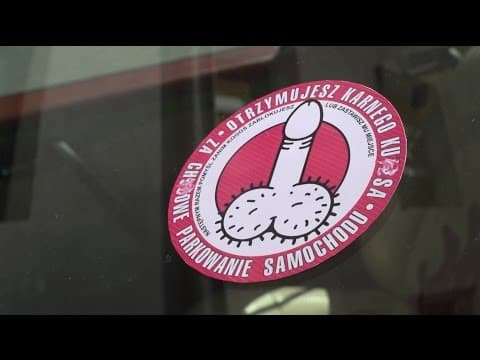 "KARNY KOOTAS" | reż. Adam Van Bendler | Komedia | Full HD