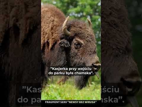 PODLASIE TROLLUJE HEJTERÓW
