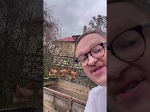 Kucharz Maciej - prawdziwe kurki