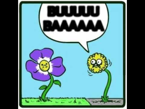 Taco Hemingway feat. Szpaku - BUBA (WWA nie Berlin meme)