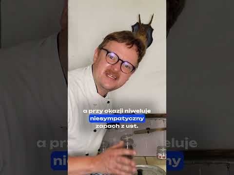 Liść i ziele- polskie UMAMI