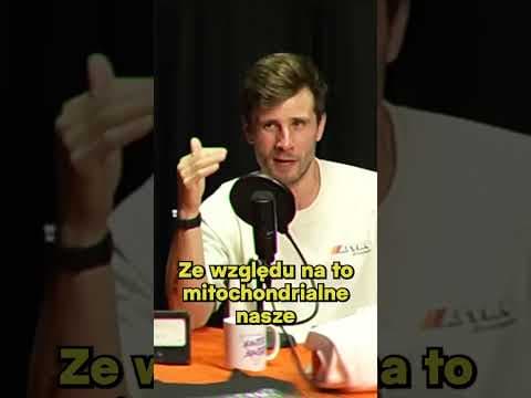 Persja x Polska = Haplogrupowa sztama