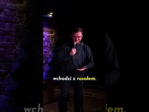 Zaawansowane wiekiem Panie do towarzystwa