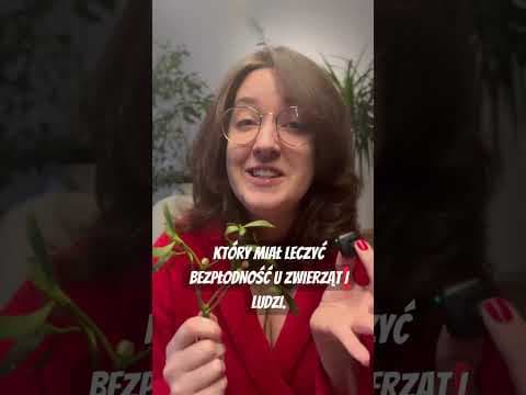 Drojman przedstawia: Jemioła!