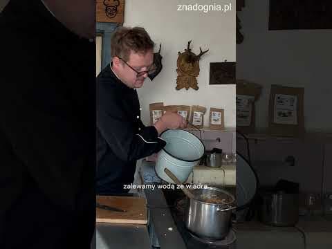 Borowikowa z klopsikami