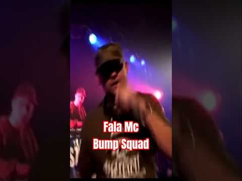 Fala Mc z BUMP SQUAD Płyta pod tytułem PROwizorka 2008