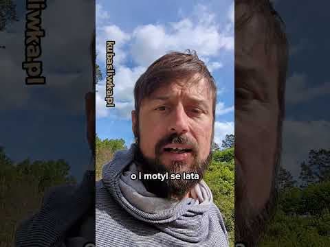 Gdybym tylko...