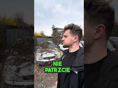 MOJE i nikomu nie oddam