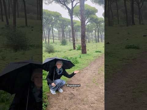 W kupie raźniej!